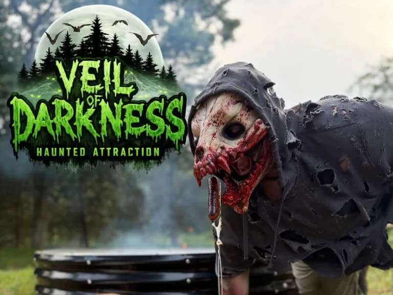 Veil of Darkness